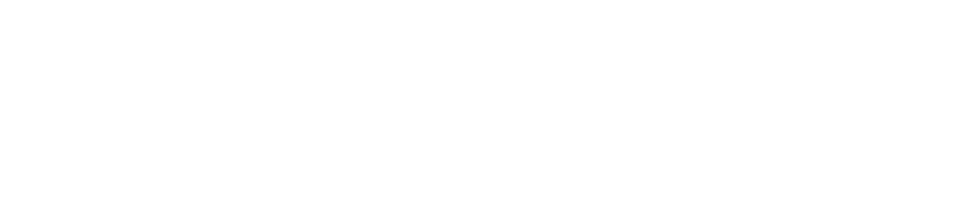 Mystery Shopper Services